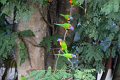 BirdsToo (18)